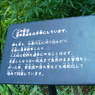 里山がお手本((・´∀｀・))