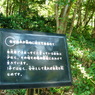 雑木がななめに植えてある理由