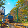 紅葉列車