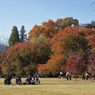 紅葉の新宿御苑　１