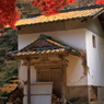今高野山龍華寺 (4) 251121-221