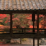 今高野山龍華寺 (5) 251121-228