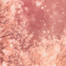 春の桜と粉雪