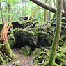 苔むす巨大溶岩