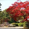 長府庭園の紅葉　①
