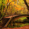 秋の架け橋