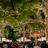 「東京クリスマスアドベントin上野公園」