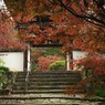 石段と紅葉の山門