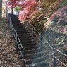 川崎城跡公園の丘の階段（11月21日）