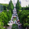 オアシス