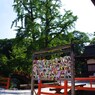 お願い