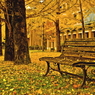 autumn　campus