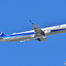 All Nippon Airways