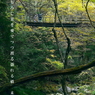 写真句：花貫渓谷紅葉狩り2025：吊り橋のある渓流３