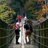 写真句：花貫渓谷紅葉狩り2025：紅葉の吊り橋２