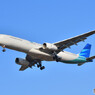 Garuda Indonesia