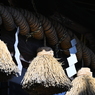 神社のしめ縄_１３