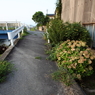 散歩道