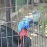 とべ動物園