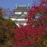 和歌山城の紅葉