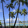 2011-08-07 Hiltonプール土曜日_TX1 013