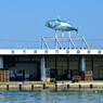 地方卸売市場 御前崎魚市場