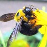 落ちるもんか！