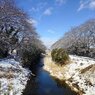 雪の土手と川（1月12日）