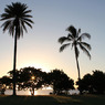 Puaena Point Beach Park 2