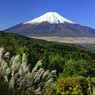 ススキと富士山