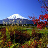 ススキと紅葉と富士山と