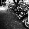 Easy Rider