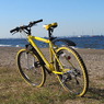 黄自転車