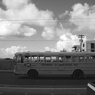 monochrome world