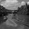 monochrome world