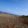 海3