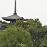 _DSC0041