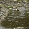 _DSC0046