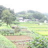 DSC00047