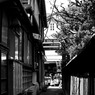 江ノ島・路地