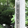 20110730-等々力渓谷03