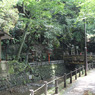 20110730-等々力渓谷15