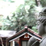20110730-等々力渓谷18
