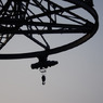 crane