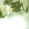 週末どころか年中山梨にいます