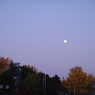 秋の月