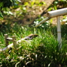 DSC03629(1)
