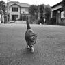 ずん