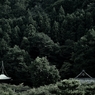 法輪寺を望む