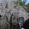 後ろから失礼します